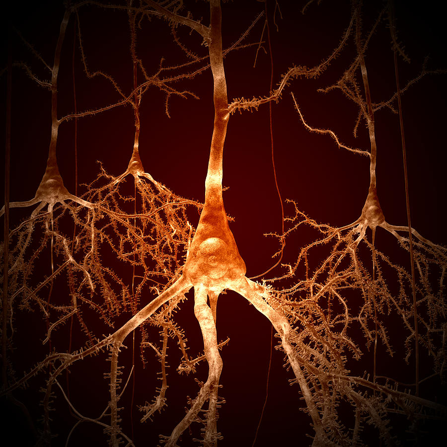 Glowing Sepia Neurons Digital Art by Russell Kightley