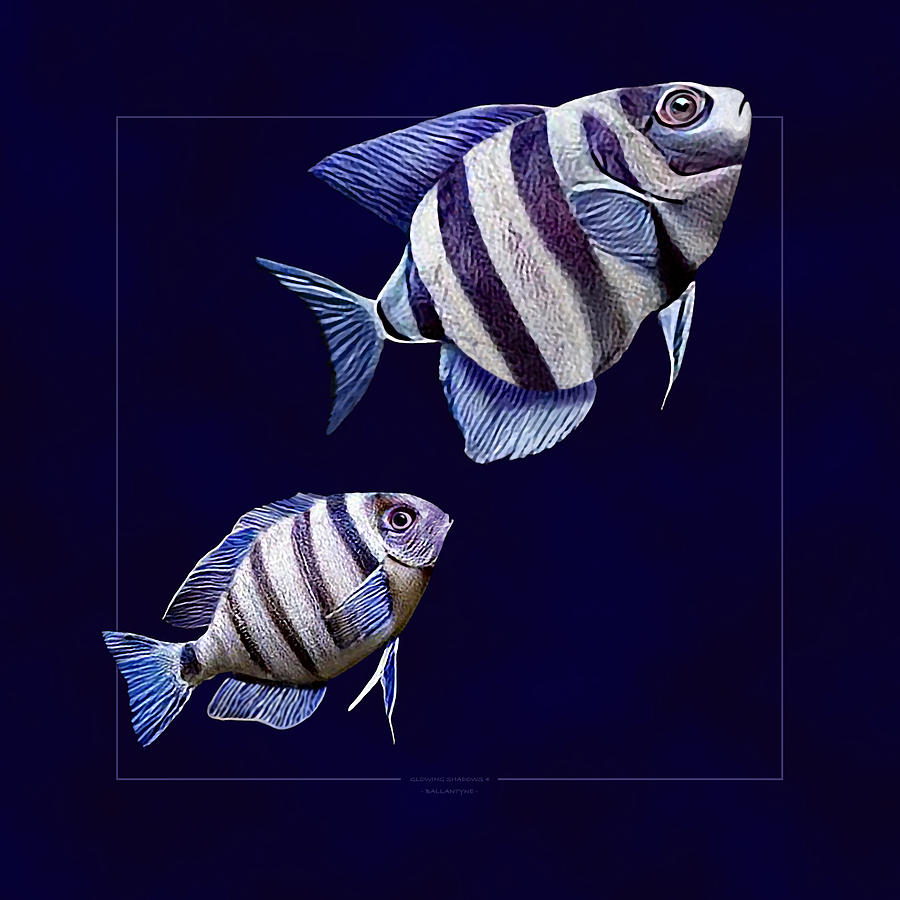 Fish Digital Art - Glowing Shadows #4 by Peter Ballantyne