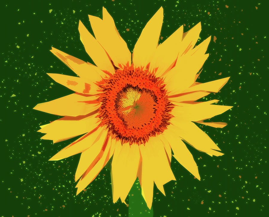 Glowing Sunflower Color Splash Digital Art by Dan Sproul