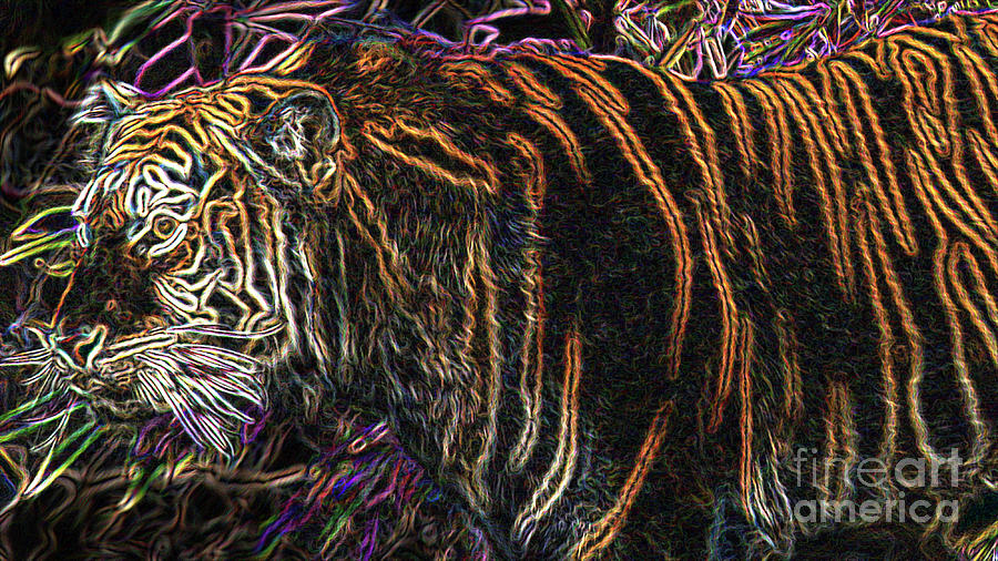 Glowing Tiger Digital Art by Mary Mikawoz