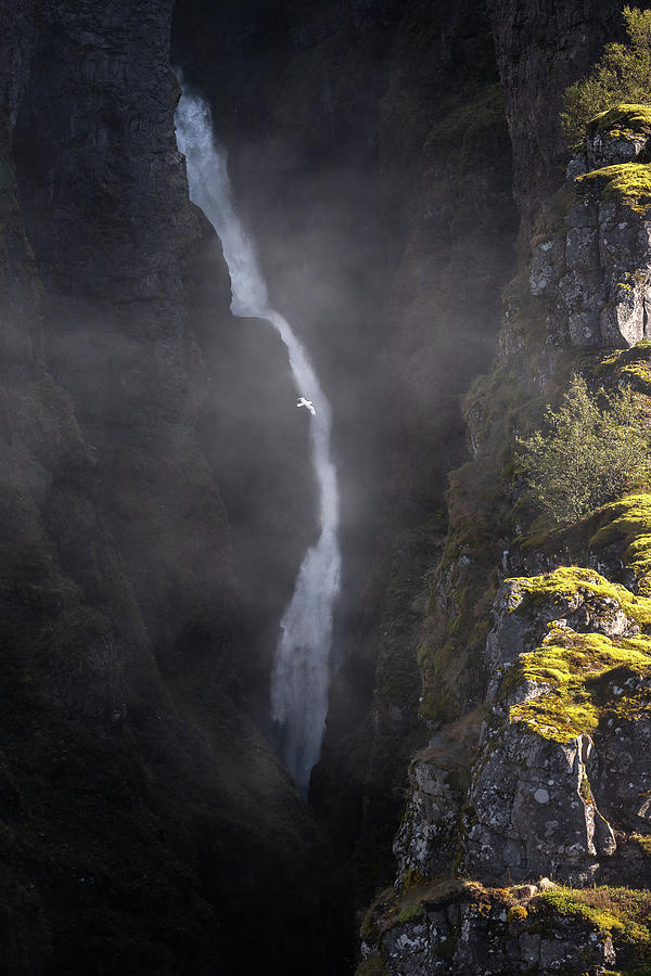 Glymur Falls Morning Mist Photograph by Donnie Whitaker