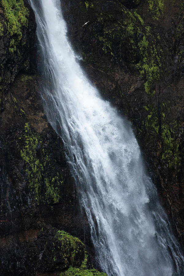 Glymur Falls Power Photograph by Donnie Whitaker