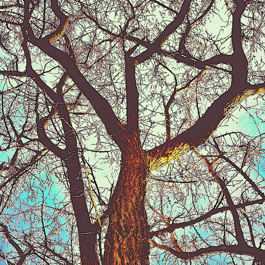 Gnarly Tree Abstract Mixed Media by Shelli Fitzpatrick