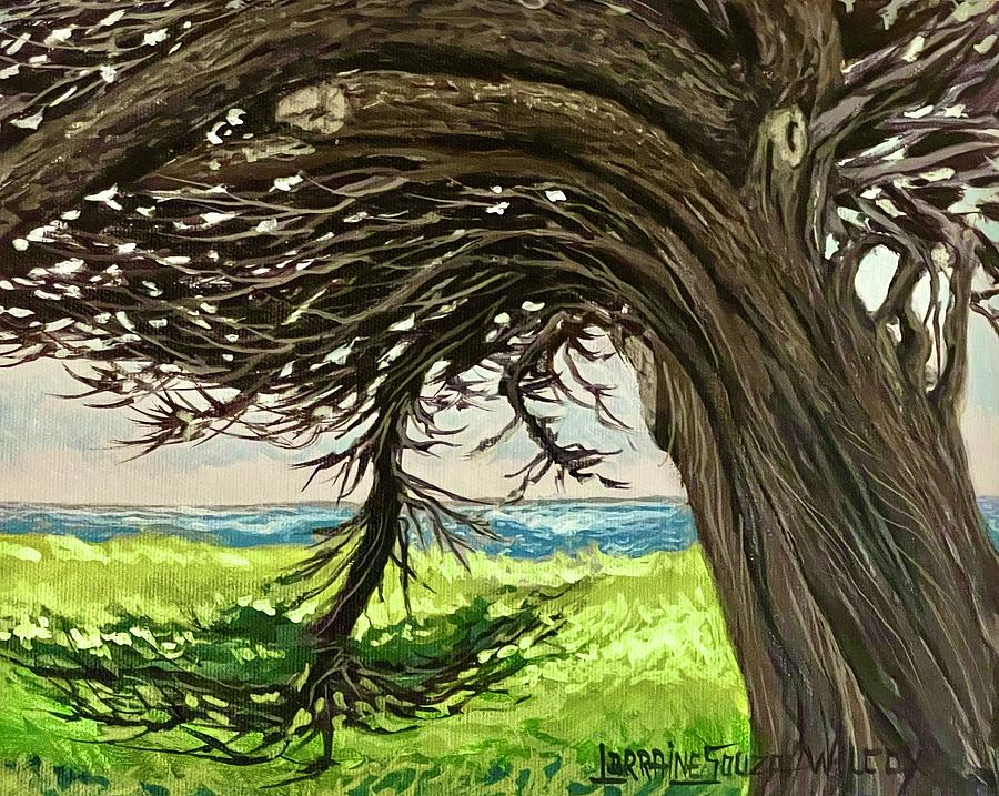 gnarly tree at Francis Beach CA Painting by Lorraine Souza Wilcox