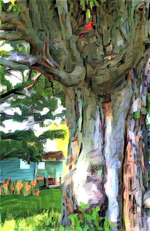 Gnarly Tree At The Blue House Mixed Media By Kim Ezra Shienbaum Fine Art America