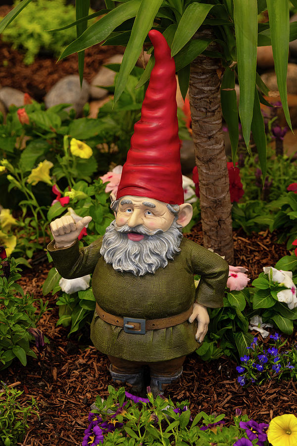 Gnome In Red Hat Photograph by Garry Gay - Fine Art America