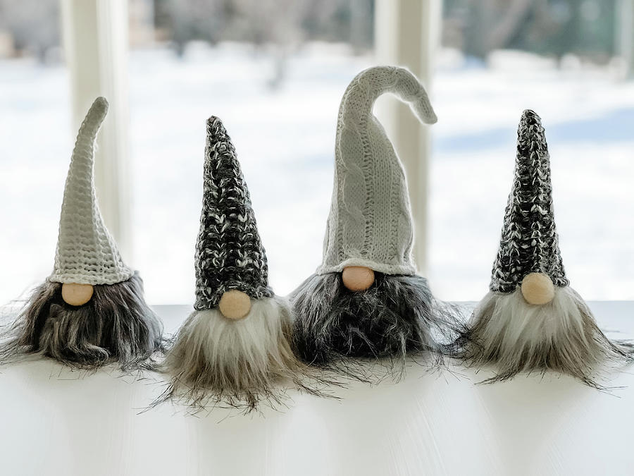 Gnomes 03 Photograph by Barbara Cooper - Fine Art America