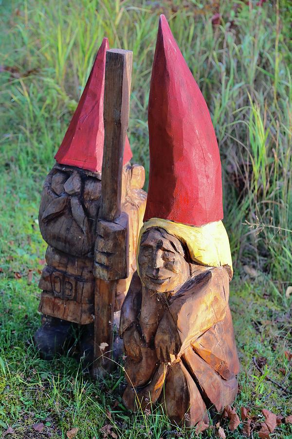 Gnomes at Home Photograph by Dorsey Northrup