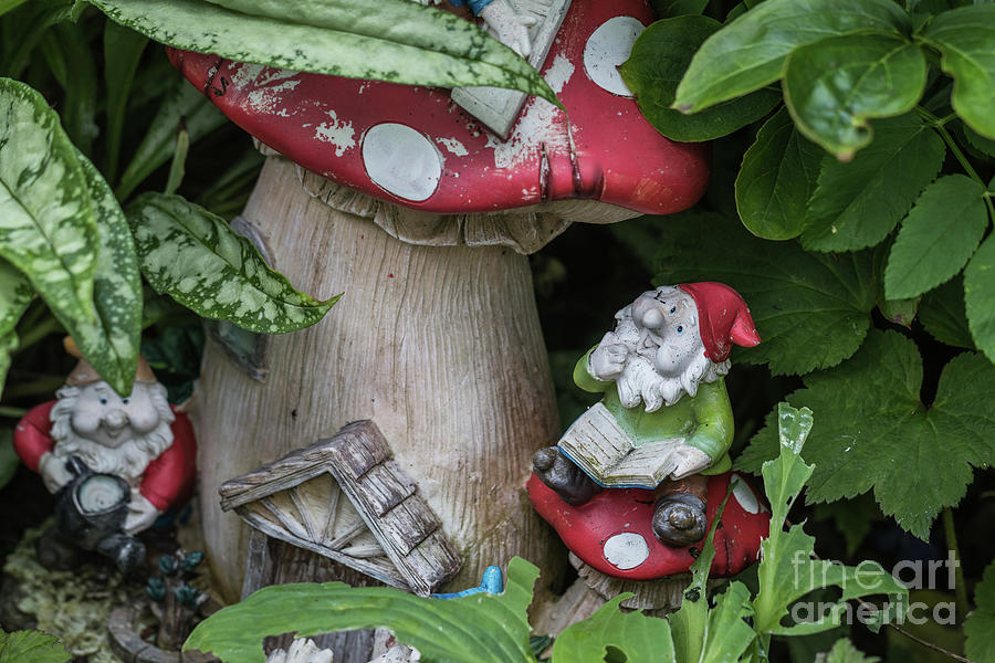 Gnomes At Home Photograph by Eva Lechner