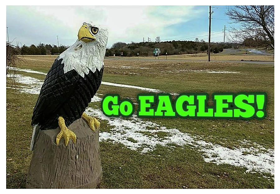 Go Eagles Photograph by David Speace