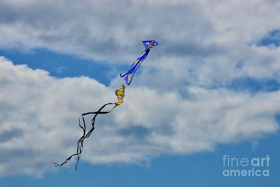 Go Fly a Kite Photograph by Craig Wood