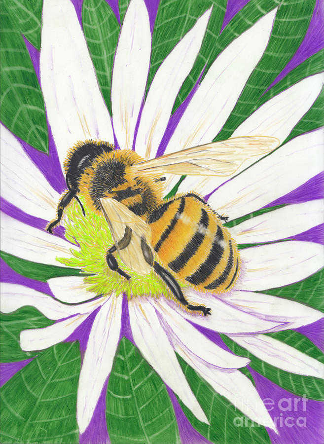 Go For The Gold - Honey Bee Painting by Conni Schaftenaar