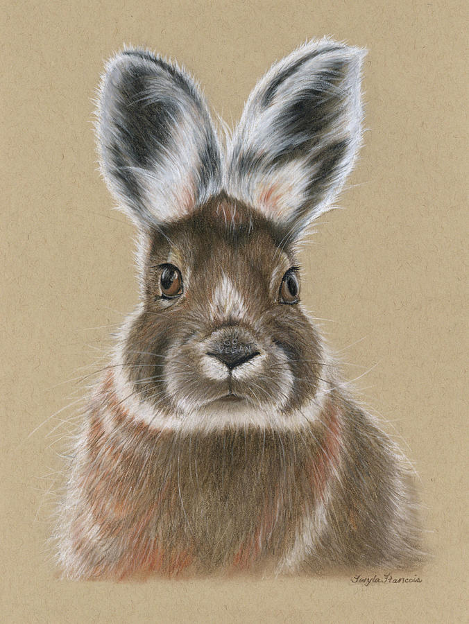 Go Vegan Rabbit Pastel by Twyla Francois
