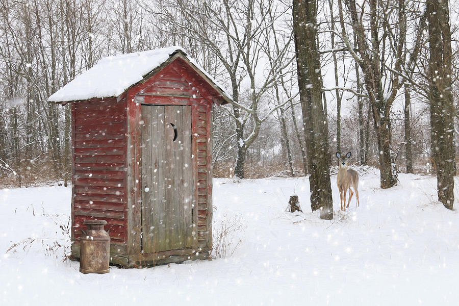 Winter Photograph - Go Wild by Lori Deiter
