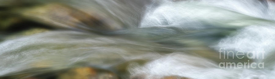 Go with the Flow Photograph by Sharon Seaward