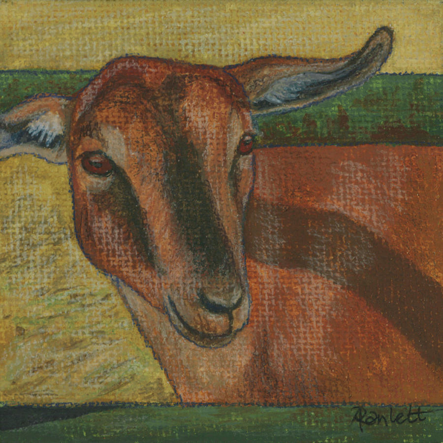 Goat Painting by Ann Ranlett