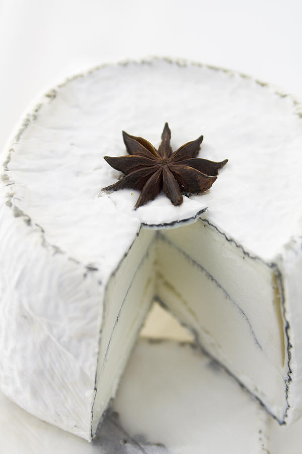Goat Cheese, Gourmet Cheese with Star Anise Spice Cut Open Photograph by YinYang