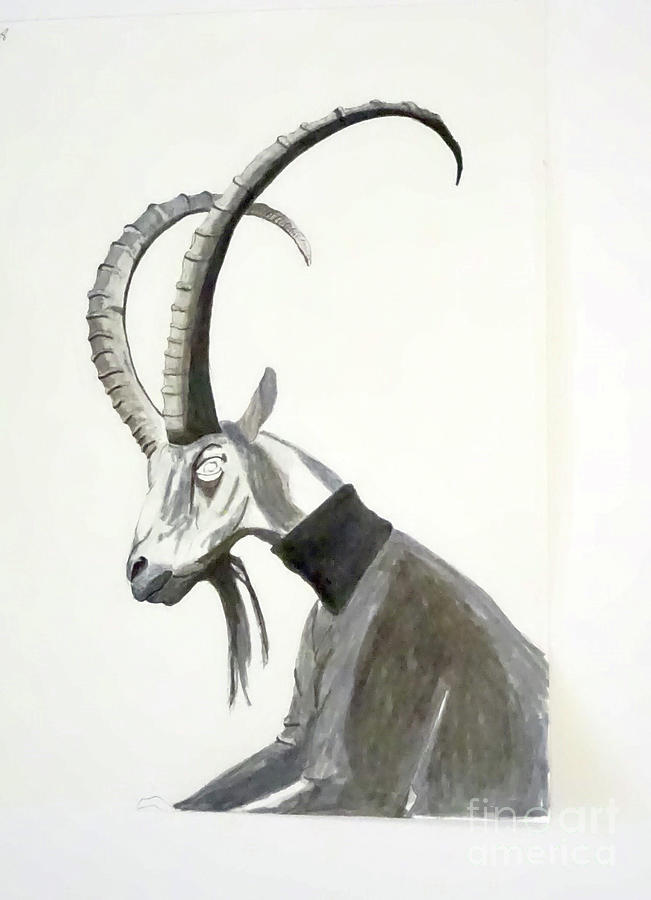 Goat Drawing