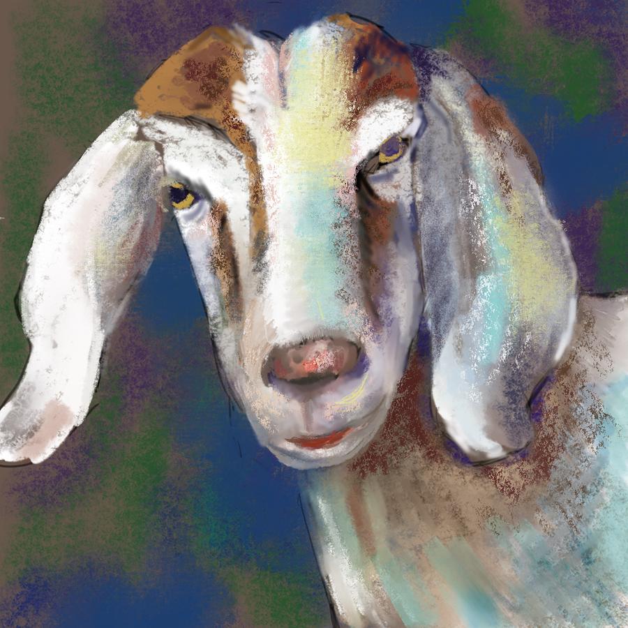 Goat Digital Art by Elaine Pawski