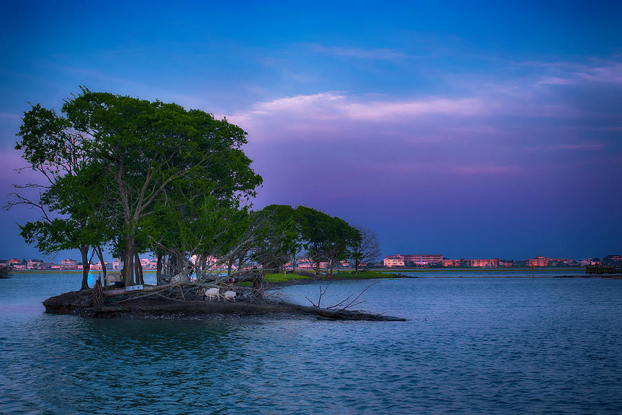 Goat Island at Sunset  Photograph by Rosette Doyle