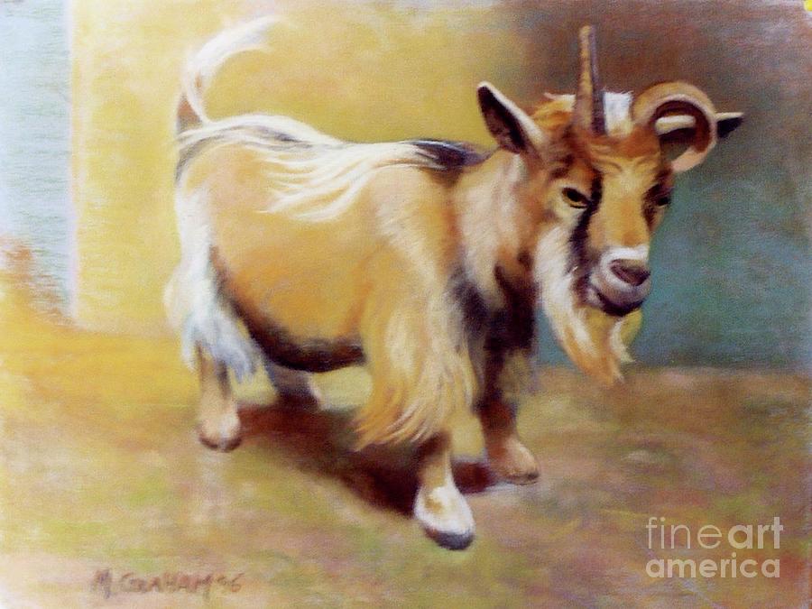 Goat Pastel by Michael Graham | Fine Art America