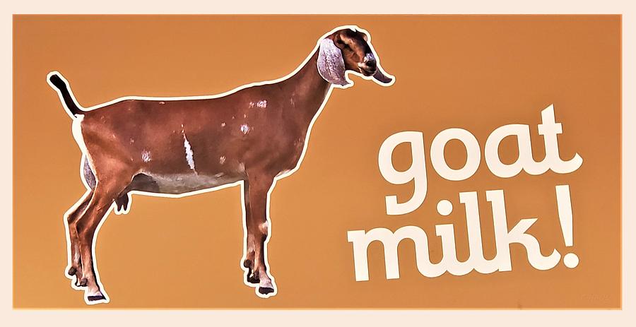 Goat Milk Photograph by Rob Hans