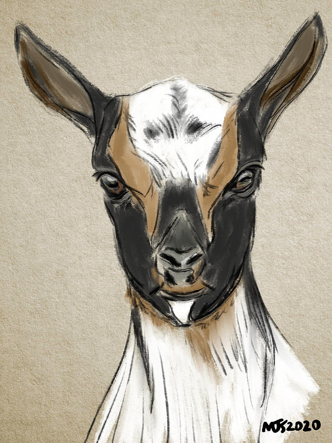 Goat Portrait  Digital Art by Michael Kallstrom