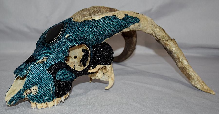 Goat Skull Mixed Media by Charla Van Vlack