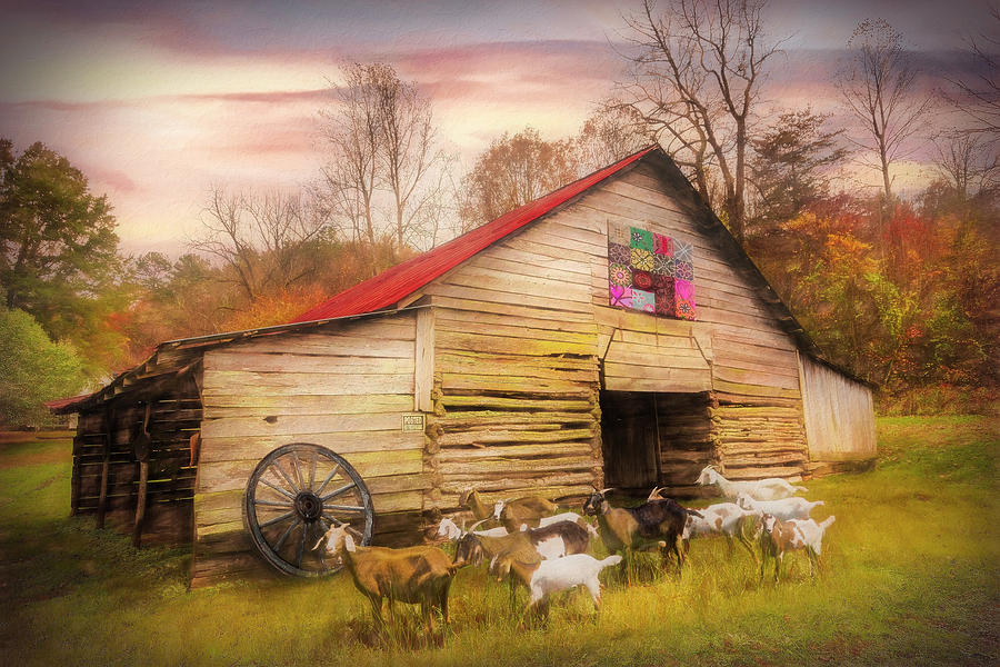 Goats at the Old Wood Barn Painting Photograph by Debra and Dave Vanderlaan