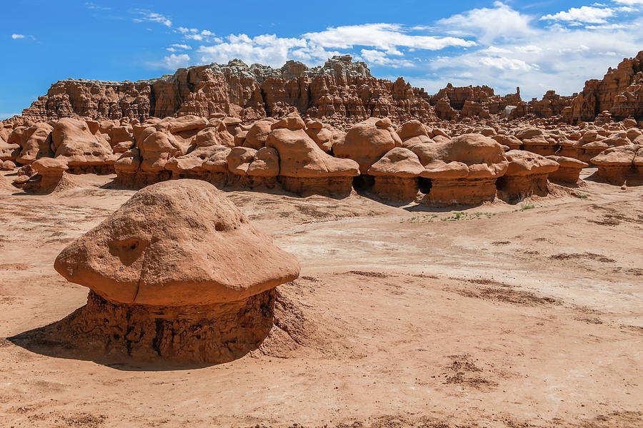  Goblin Muffin - Goblin Valley Photograph by Anthony Sacco