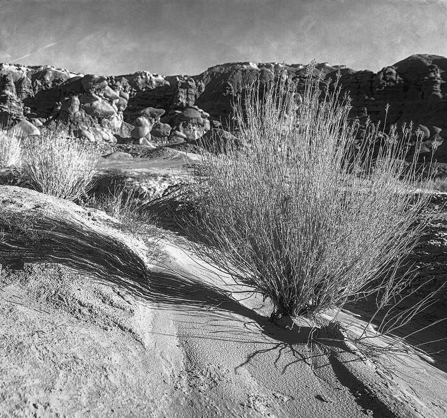 Goblin Valley State Park Utah Photograph