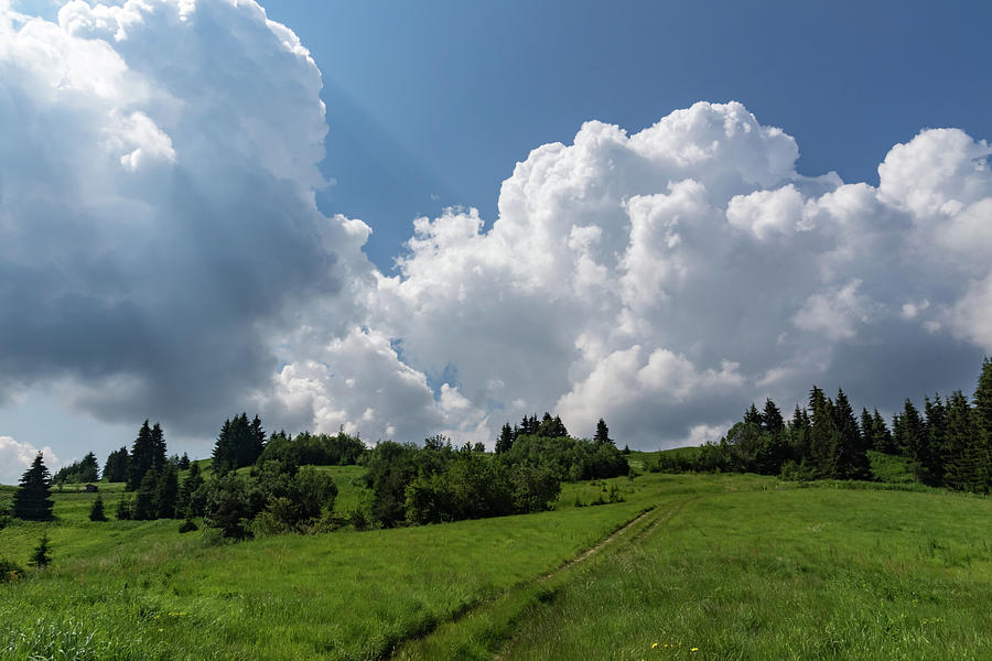 God Rays and Cottonwool Cloudbanks - Summertime Mountaintop Meadow Road Photograph by Georgia Mizuleva