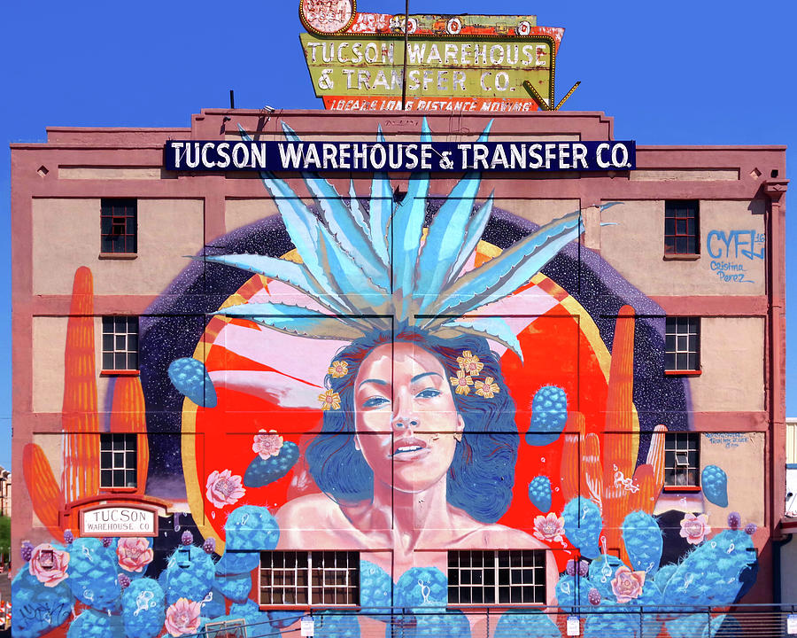 Tucson Photograph - Tucson Warehouse And Transfer Building, Goddess Of Agave by Douglas Taylor