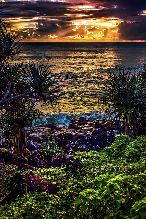 Sunset Photograph - Gods Garden by Az Jackson