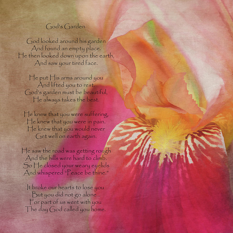 God's Garden Poem Photograph by Vicki McLead Pixels