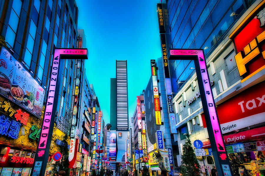Godzilla Road - Tokyo Photograph by Stuart Litoff