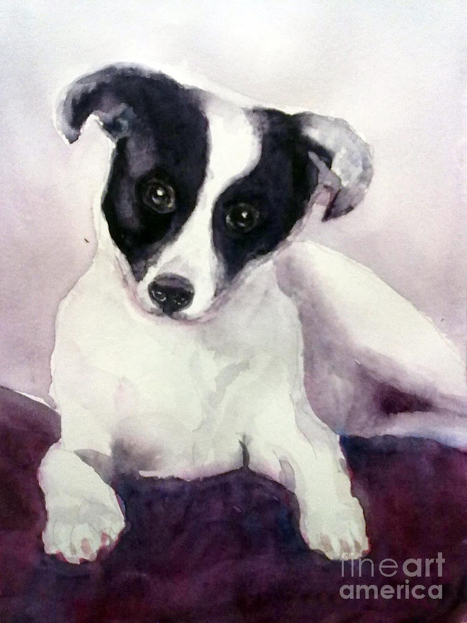 Mongrel Painting - Goggles the stray dog by Asha Sudhaker Shenoy