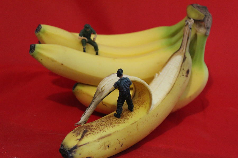 Going Bananas Photograph by Army Men Around the House