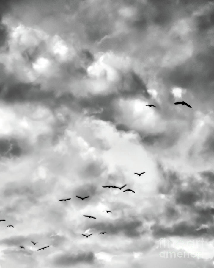 Going Home 2 - Black And White Photograph By Jack Andreasen - Fine Art 