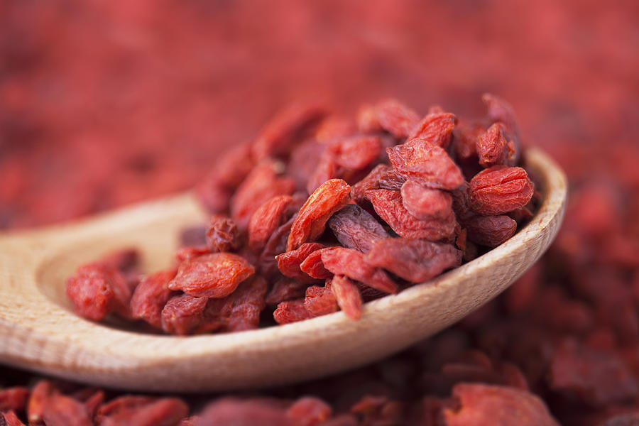 Goji Berries (Wolfberry) Photograph by Lee Pettet