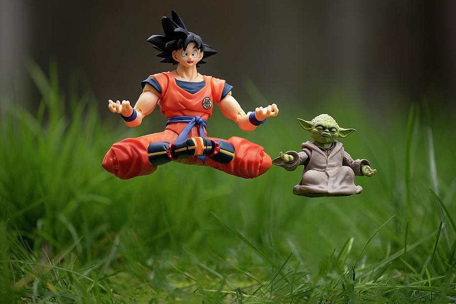 Goku and Yoda Meditating Photograph by Matt McDonald