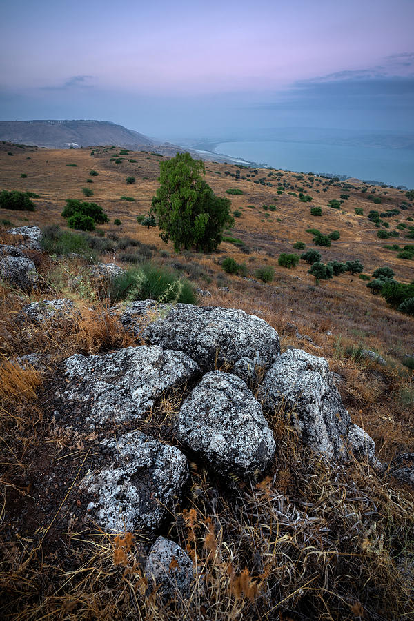 Golan Heights 1  Photograph by Mati Krimerman