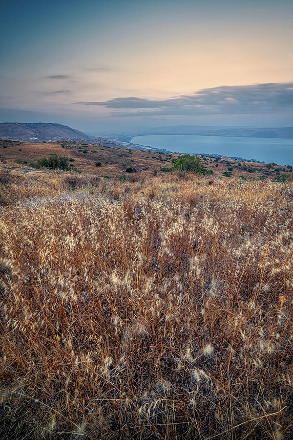 Golan Heights 2 Photograph by Mati Krimerman