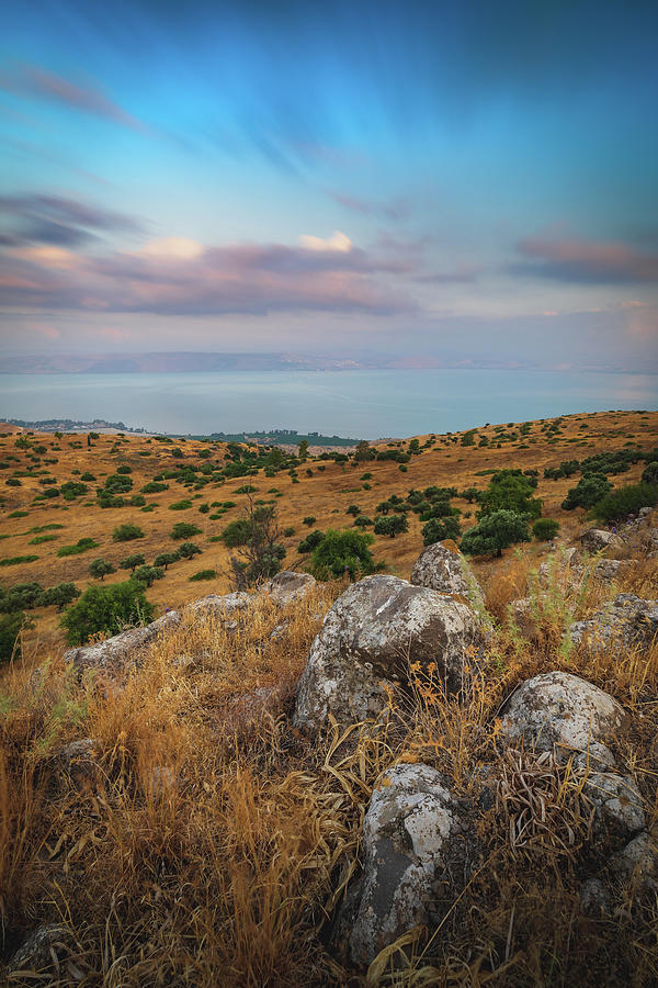 Golan Heights 3 Photograph by Mati Krimerman