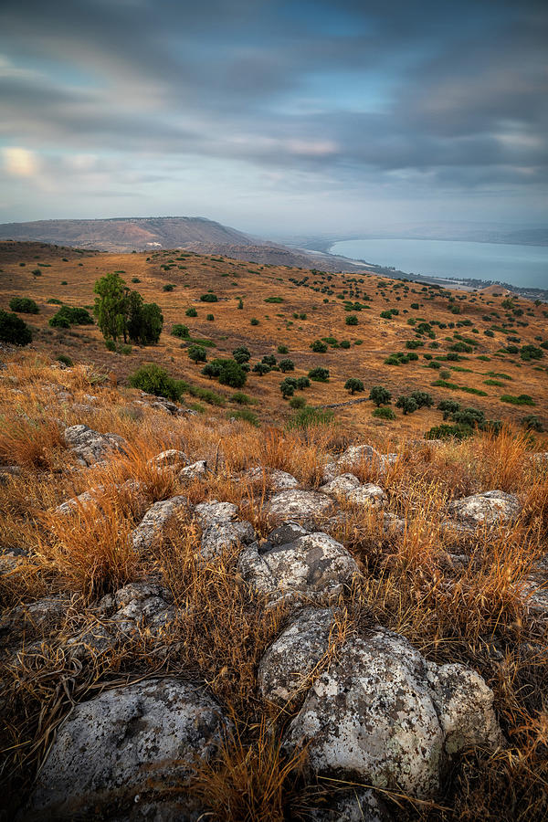 Golan Heights 4 Photograph by Mati Krimerman