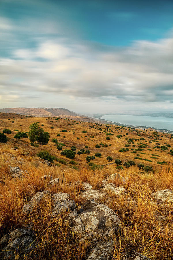 Golan Heights 5 Photograph by Mati Krimerman