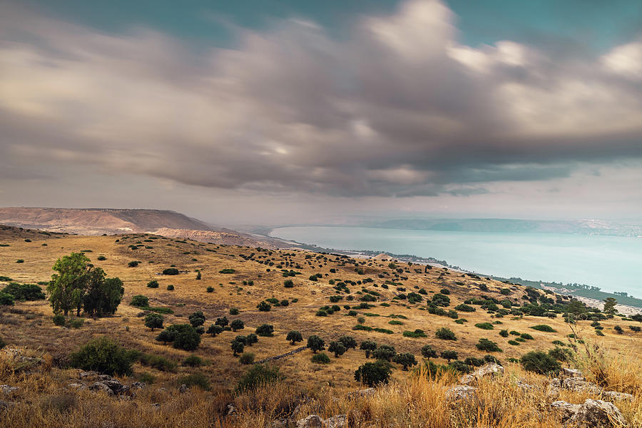 Golan Heights 6 Photograph by Mati Krimerman
