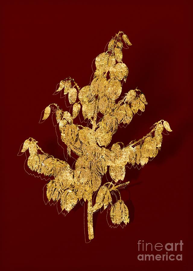 Gold Aloe Yucca Botanical Illustration on Red Mixed Media by Holy Rock Design