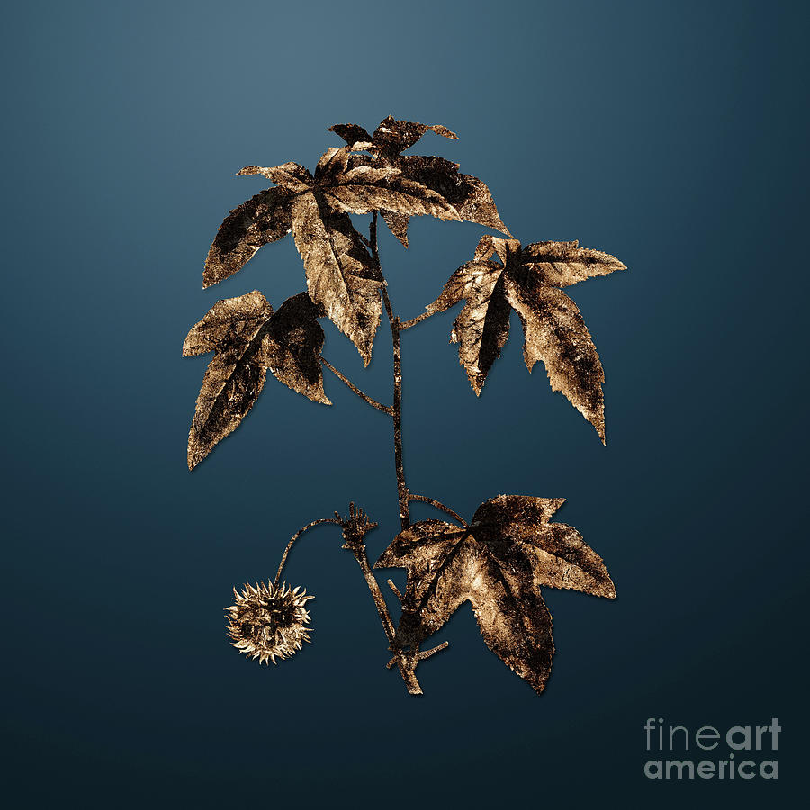 Gold American Sweetgum on Dusk Blue n.02436 Painting by Holy Rock Design