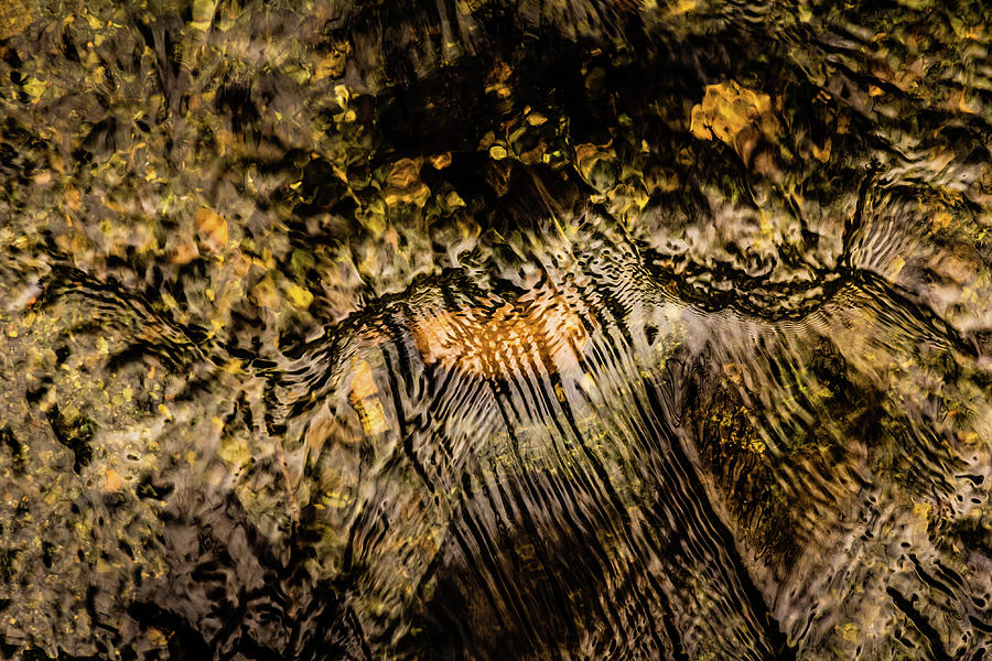 Gold and Black Water Abstraction #1 Photograph by Bj Clayden | Fine Art ...